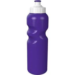Altitude Riviera Plastic Water Bottle Purple